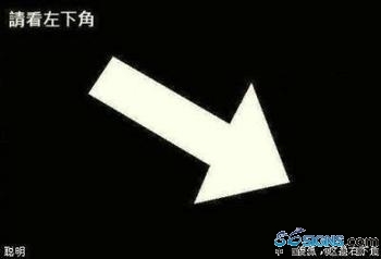 东营市智腾广告